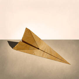 Paper Airplanes of Wood 15 by YoPedro