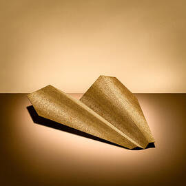 Paper Airplanes of Wood 6 by YoPedro