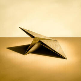 Paper Airplanes of Wood 7 by YoPedro