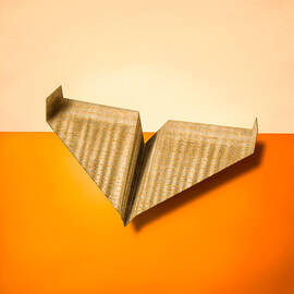 Paper Airplanes of Wood 8 by YoPedro
