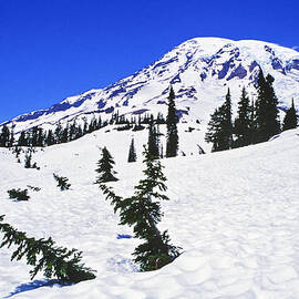 Paradise Snow by Kelley King