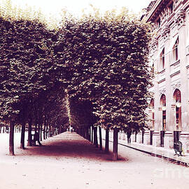 Paris Palais Royal Row of Trees and Paris Palais Royal Garden Architecture by Kathy Fornal