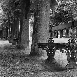 Park Bench in Paris by Georgia Clare