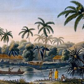 Part Of The Village Of Matavae, Coconut by French School