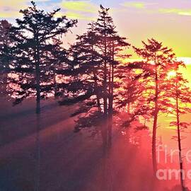 Pastel Rays by Adam Jewell