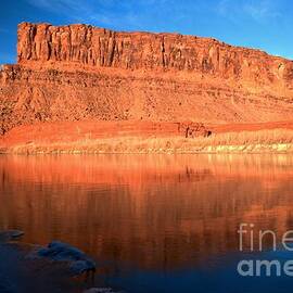 Pastel Rockfish by Adam Jewell