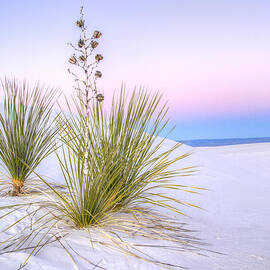 Pastel White Sands by Jean Noren