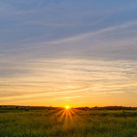 Pasture at Sunset by Adam Mateo Fierro