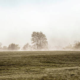 Pastures In The Mist by Nicolasmccomber