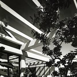 Patio With Pergola by Robert M. Damora
