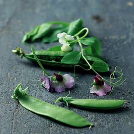 Pea Pods And Flowers by Romulo Yanes