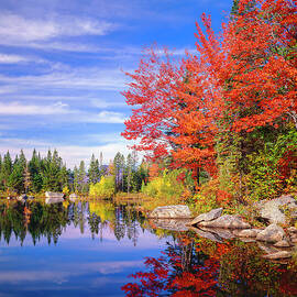 Peaceful Colorful Autumn Fall Foliage by Dszc