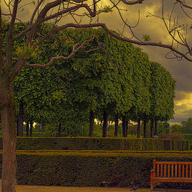 Peaceful Paris by Georgia Clare