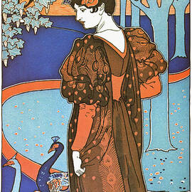 Peacock by Georgia Clare