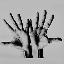 Pearl Bailey's Hands by Bert Stern