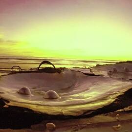 Pearls Shells On Beach In Australia by Arnaud de Rosnay