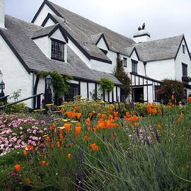 Pelican Inn Garden by Richard Reeve