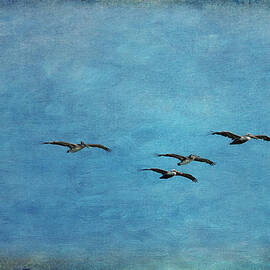 Pelicans In Flight by Mary Jo Allen
