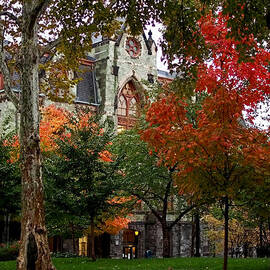 Penn in the Rain by Rona Black