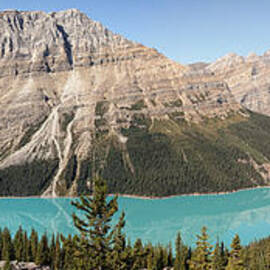 Peyto Lake by Georgia Clare