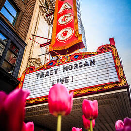Pictue of Chicago Theatre Sign with Tracy Morgan by Paul Velgos