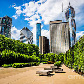 Picture of Chicago Skyline with Millennium Park Trees by Paul Velgos