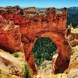 Picture Window at Natural Bridge - Bryce Canyon National Park - Utah by Bruce Friedman