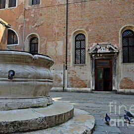 Pigeons in a courtyard by well by Sami Sarkis Photography