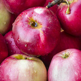 Pile of Apples by Jean Noren