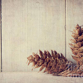Pine cones by Jelena Jovanovic