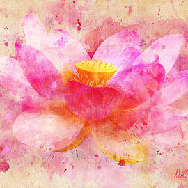 Pink Lotus Flower Abstract Artwork by Nikki Marie Smith