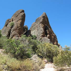 Pinnacles by Richard Reeve