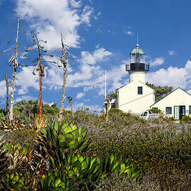 Point Loma Lighthouse by Kelley King