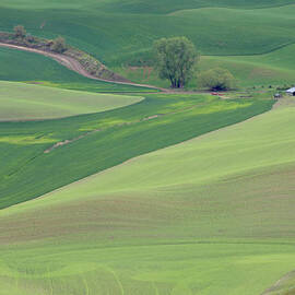 Points Leading Home by Mary Lee Dereske