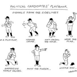 Political Candidates' Playbook
Signals by James Stevenson