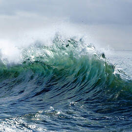 P O P  by Joe Schofield