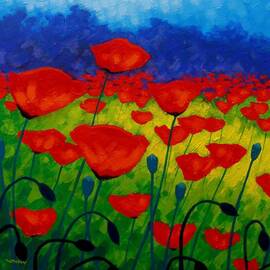 Poppy Corner II by John Nolan
