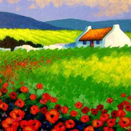 Poppy Field - Ireland by John Nolan