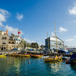 Port at Jaffa by David Morefield
