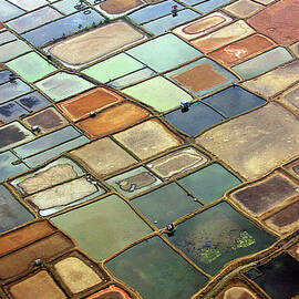 Prawn Ponds by Photography by Mangiwau