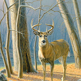 Pre-Flight- Whitetail Buck by Paul Krapf