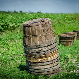 Preparing for the Harvest by David Morefield