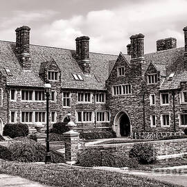 Princeton University by Olivier Le Queinec