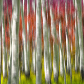 Progression of Autumn by Adam Romanowicz