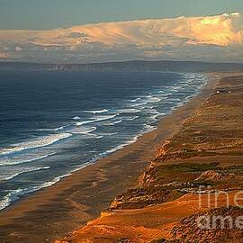 Pt Reyes Golden Cliffs by Adam Jewell