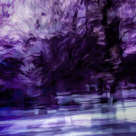 Purple Fire by Scott Norris