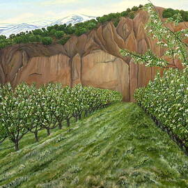 Quince Trees by Angeles M Pomata