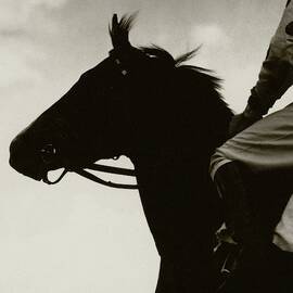 Race Horse Gallant Fox by Edward Steichen