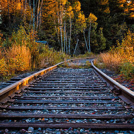 Rails Pondicherry NWR by Jeff Sinon
