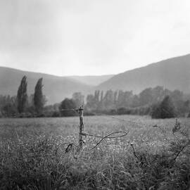 Rain On A Pasture by Thibaut Puls